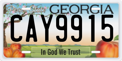 GA license plate CAY9915