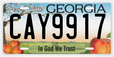 GA license plate CAY9917