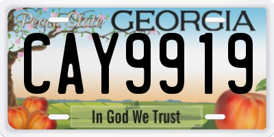 GA license plate CAY9919