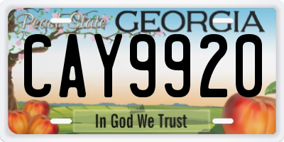 GA license plate CAY9920