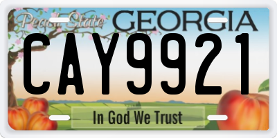 GA license plate CAY9921