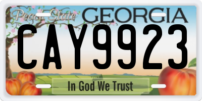 GA license plate CAY9923