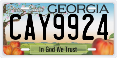 GA license plate CAY9924