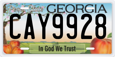 GA license plate CAY9928