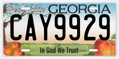 GA license plate CAY9929