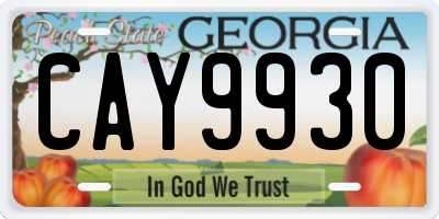 GA license plate CAY9930