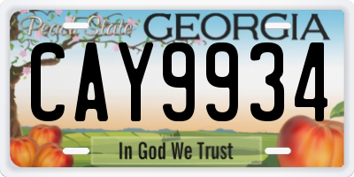 GA license plate CAY9934