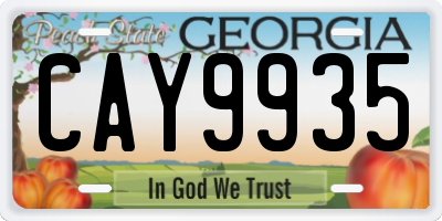 GA license plate CAY9935