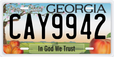 GA license plate CAY9942
