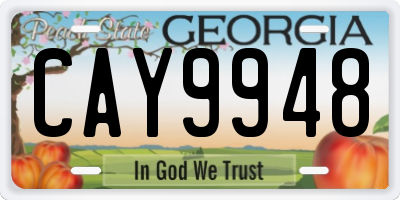 GA license plate CAY9948