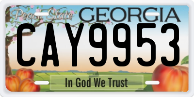 GA license plate CAY9953