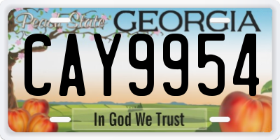 GA license plate CAY9954