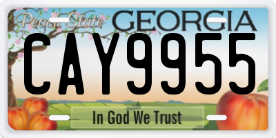 GA license plate CAY9955