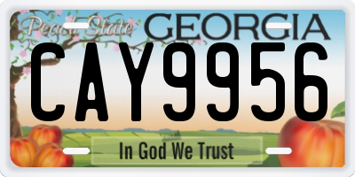 GA license plate CAY9956