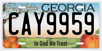 GA license plate CAY9959