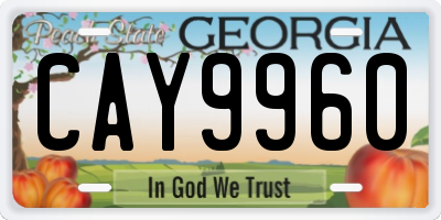 GA license plate CAY9960