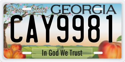 GA license plate CAY9981