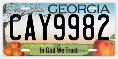 GA license plate CAY9982