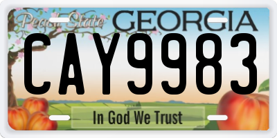 GA license plate CAY9983