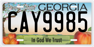 GA license plate CAY9985