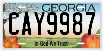 GA license plate CAY9987