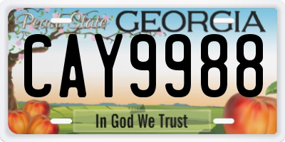 GA license plate CAY9988