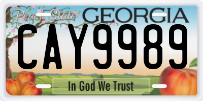 GA license plate CAY9989