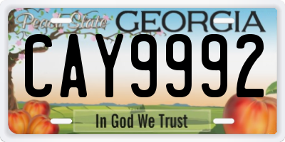 GA license plate CAY9992