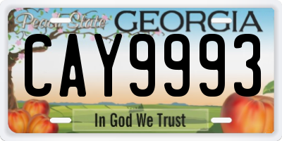 GA license plate CAY9993