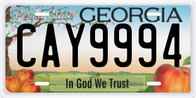 GA license plate CAY9994