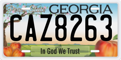 GA license plate CAZ8263