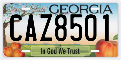 GA license plate CAZ8501