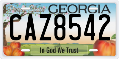 GA license plate CAZ8542