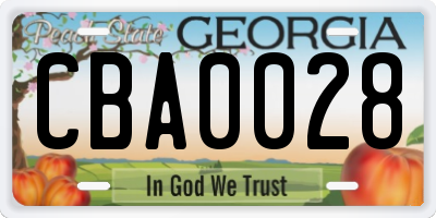 GA license plate CBA0028