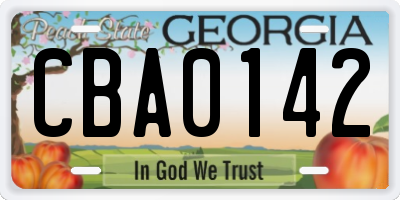 GA license plate CBA0142
