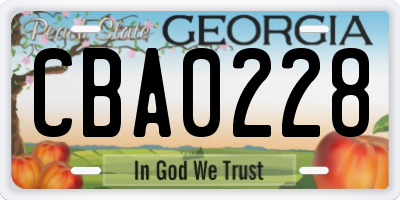 GA license plate CBA0228