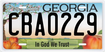 GA license plate CBA0229