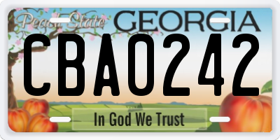 GA license plate CBA0242