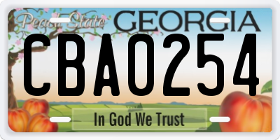 GA license plate CBA0254