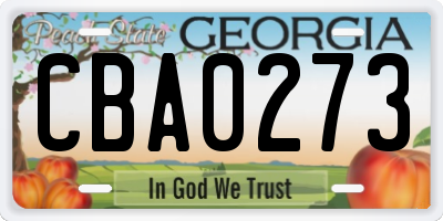 GA license plate CBA0273