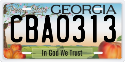 GA license plate CBA0313