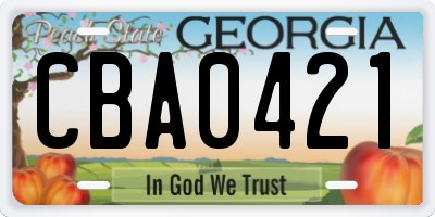 GA license plate CBA0421