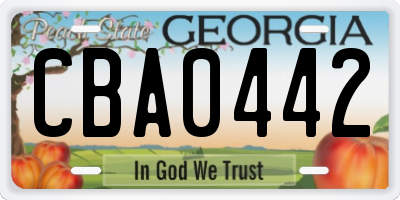 GA license plate CBA0442