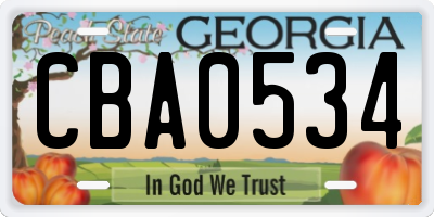 GA license plate CBA0534