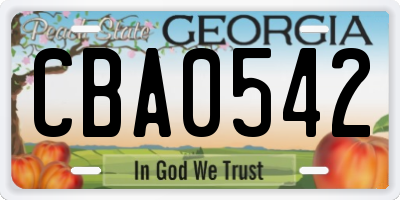 GA license plate CBA0542