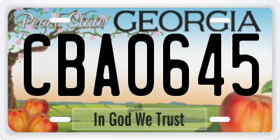 GA license plate CBA0645