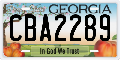 GA license plate CBA2289