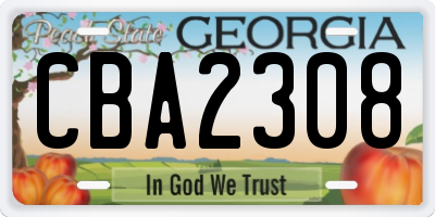 GA license plate CBA2308