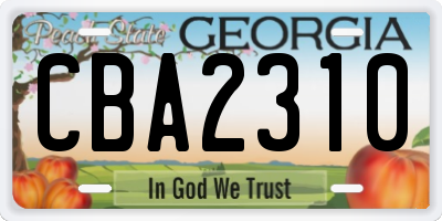 GA license plate CBA2310