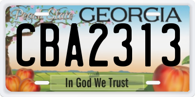 GA license plate CBA2313